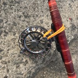 ヘチ釣りでキビレGET