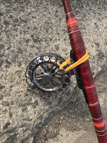 ヘチ釣りでキビレGET