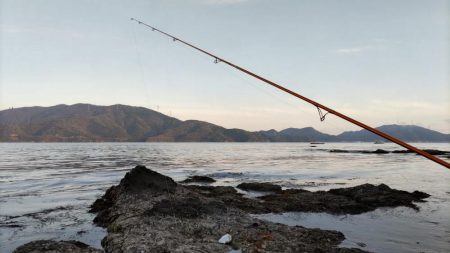鯉川でのキス釣り