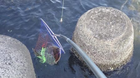 久しぶりの狙い通り！