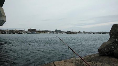 良型キスが釣れました