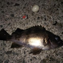 ハリ先の確認は必須