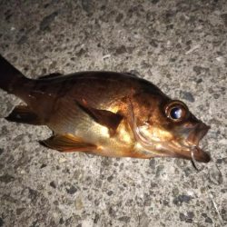 ピンクムーンが邪魔をする