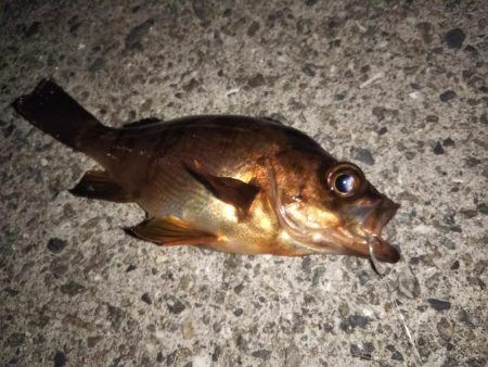 ピンクムーンが邪魔をする