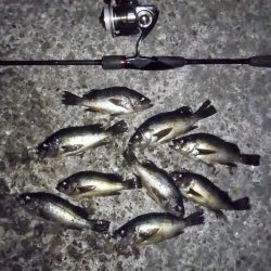 最後の1投で「つ抜け」達成