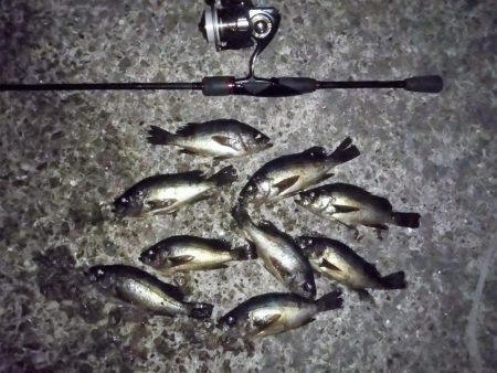 最後の1投で「つ抜け」達成