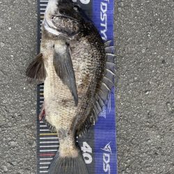 イチノ兄弟、釣果!