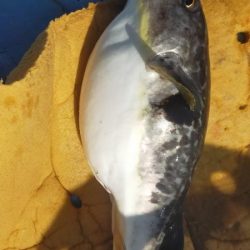 巻き巻きネギング