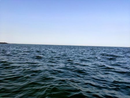 今シーズン初シーバス