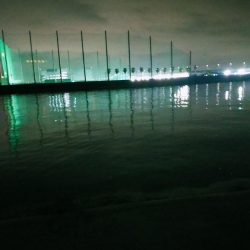 新しい竿が届いたので