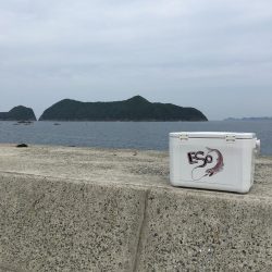 外道に邪魔されながらも大満足の釣果!