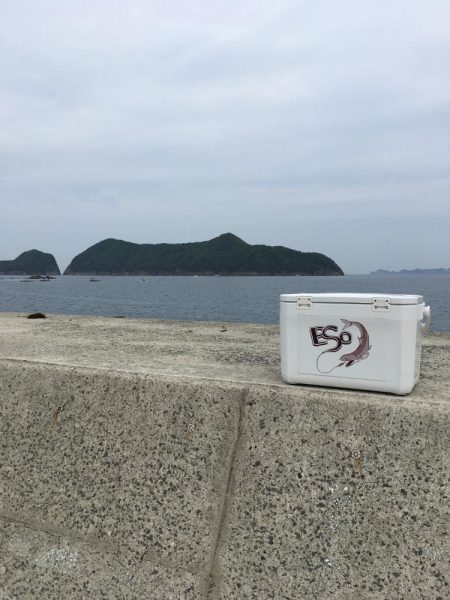 外道に邪魔されながらも大満足の釣果!