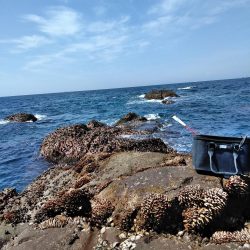 フカセ‥釣れないですネ・・