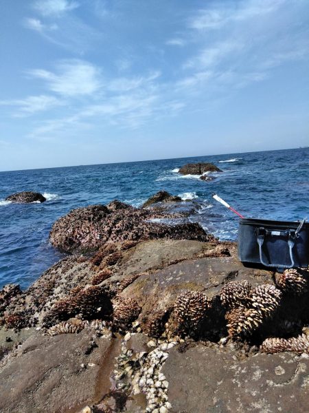 フカセ‥釣れないですネ・・