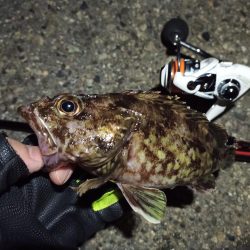 2022/04/10 南港ライトゲーム釣行