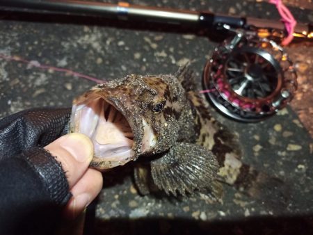 2022/04/17 南港ヘチ釣り釣行