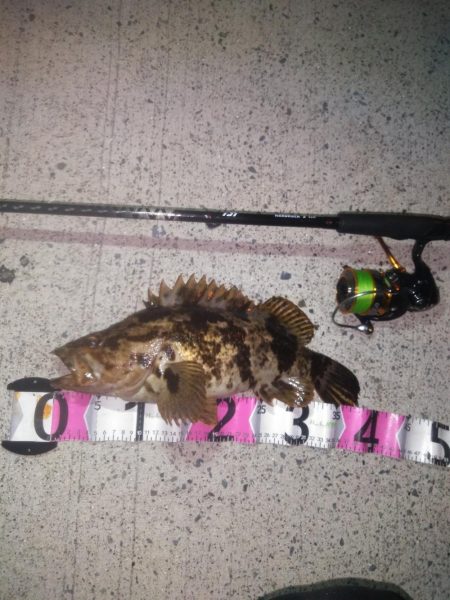 根魚コンプリート！