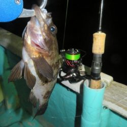 ２度目のボートメバル！