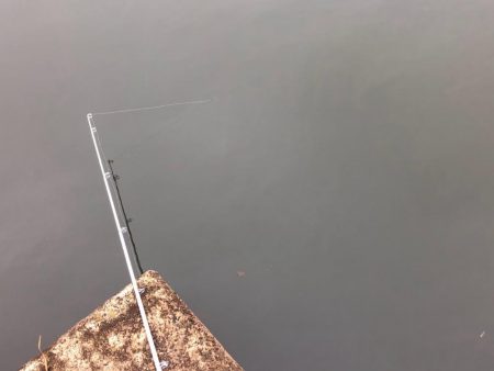 大同川モロコ９４匹自己ベスト