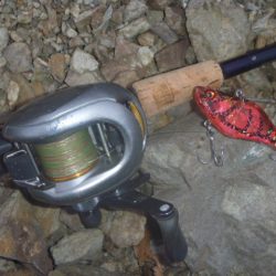 4月のバス釣り