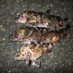 初めての場所でライトワインド調査！