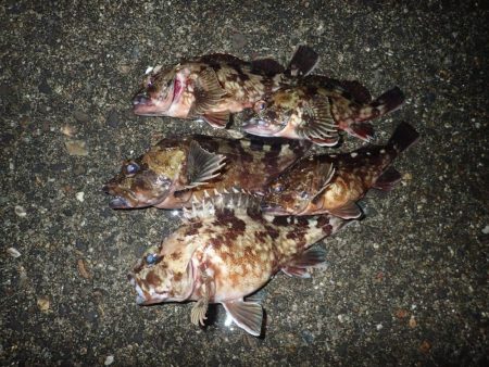 初めての場所でライトワインド調査！