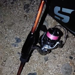 久しぶりの良形！