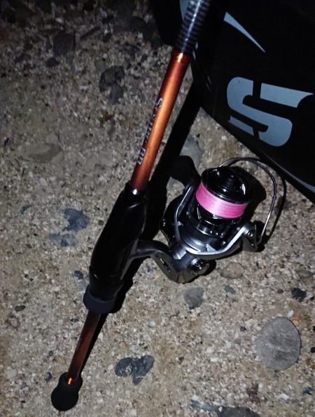 久しぶりの良形！