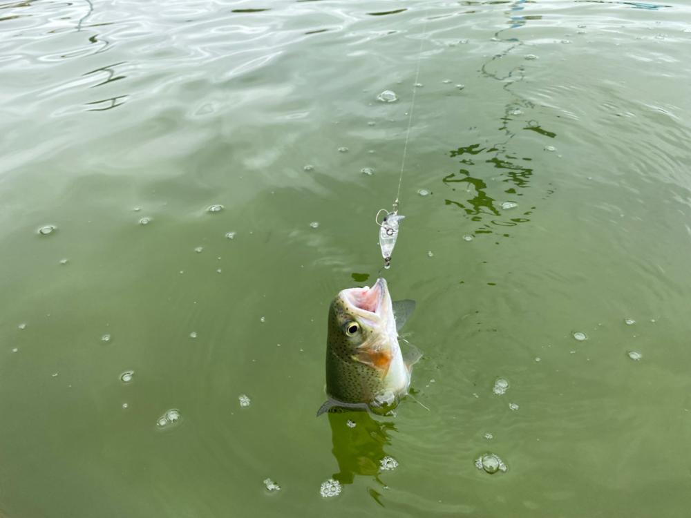 京都亀岡市　かめプー　最高