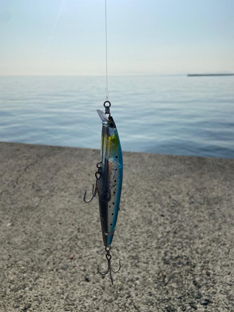 淡路島も開幕してました!