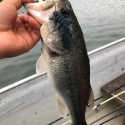 桜池でプチ春爆!?