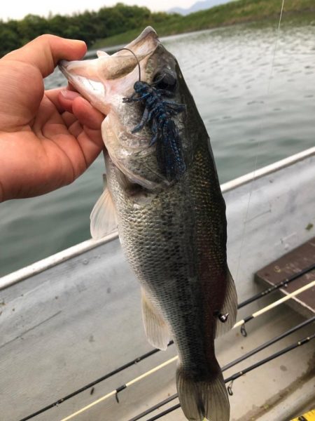 桜池でプチ春爆!?