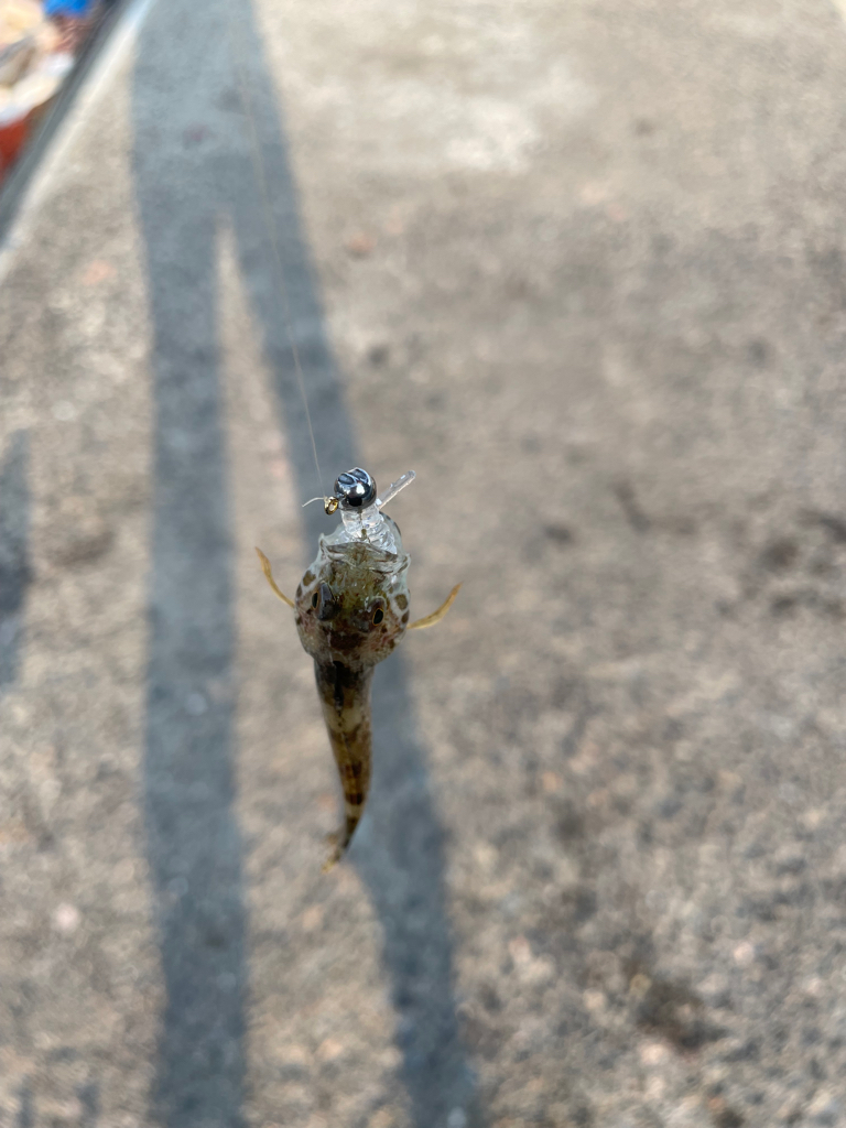 情報から行ってみました