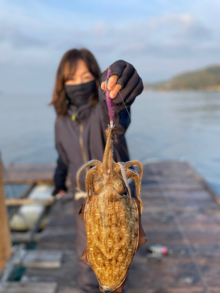 春のアオリイカにようやく出会えた!