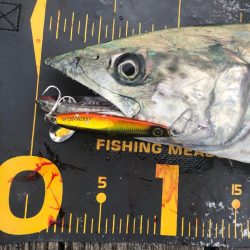 公式公認　初投稿