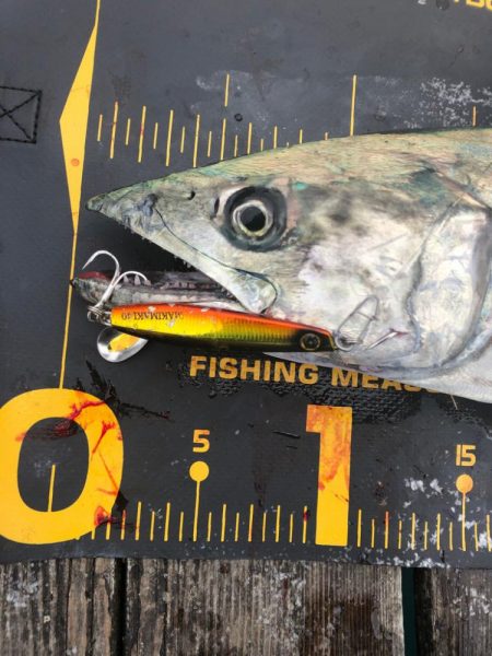 公式公認　初投稿