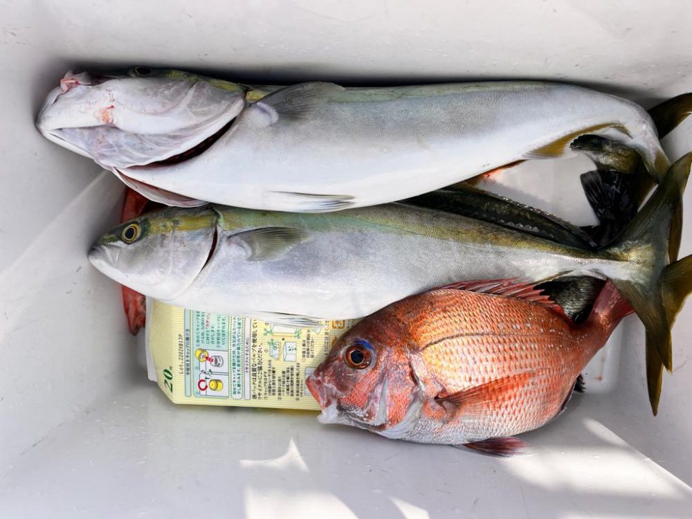 五目釣りになりました