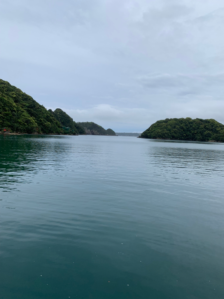 ファミリーサビキ^ ^