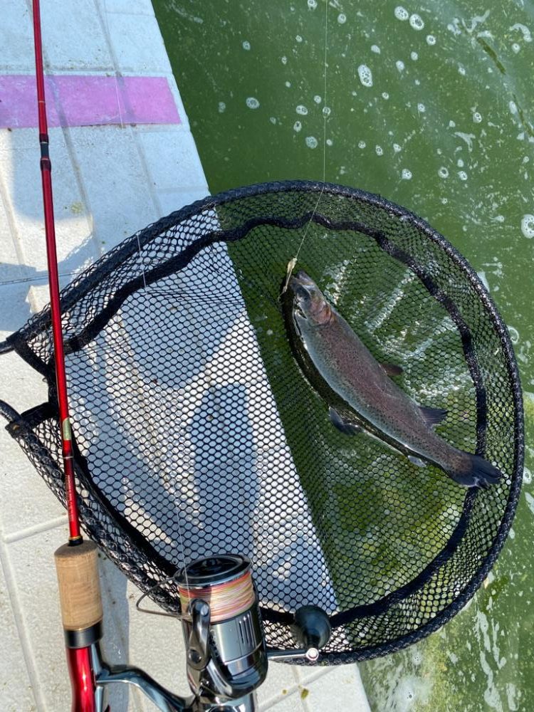 服部緑地ウォーターランド