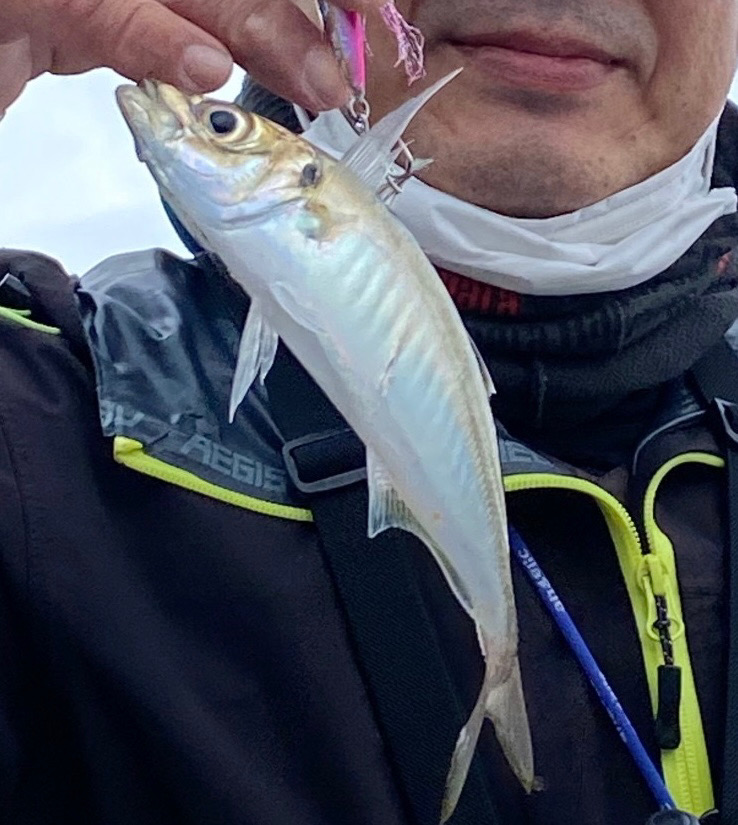 天気と風が全くちゃう（苦笑）