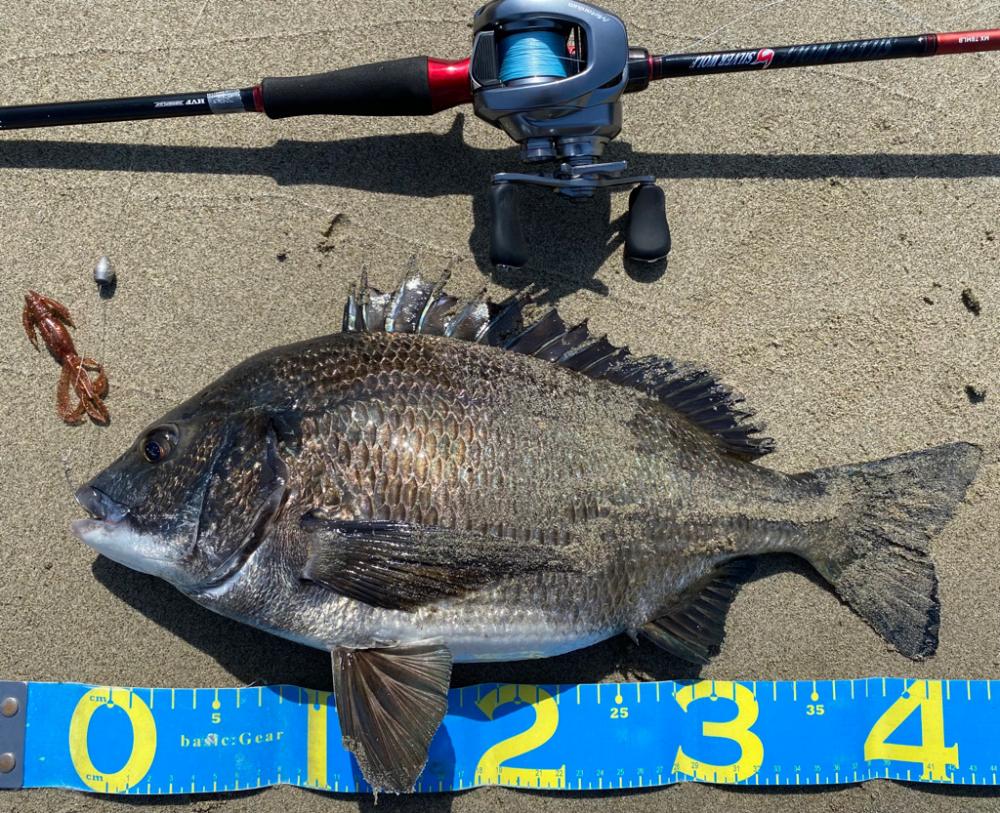 淀川ブリームゲーム　22メタのファーストフィッシュ！