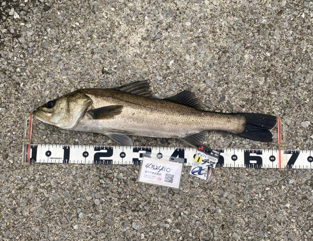 久しぶりの雨の釣り
