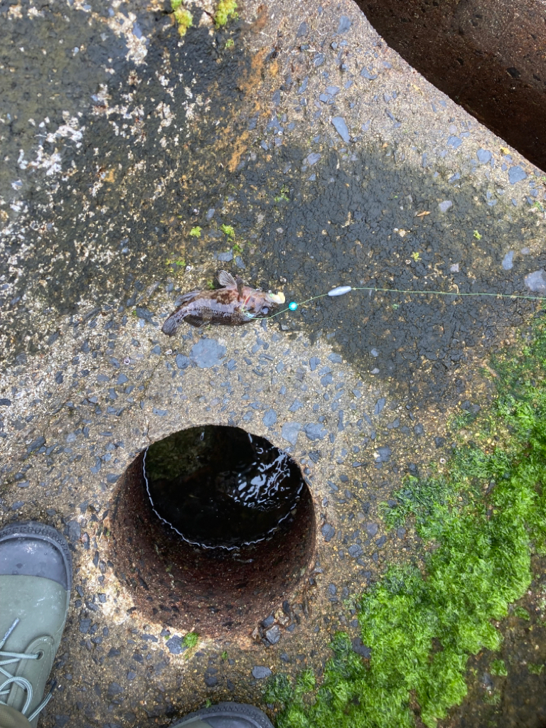 穴釣り　10回目