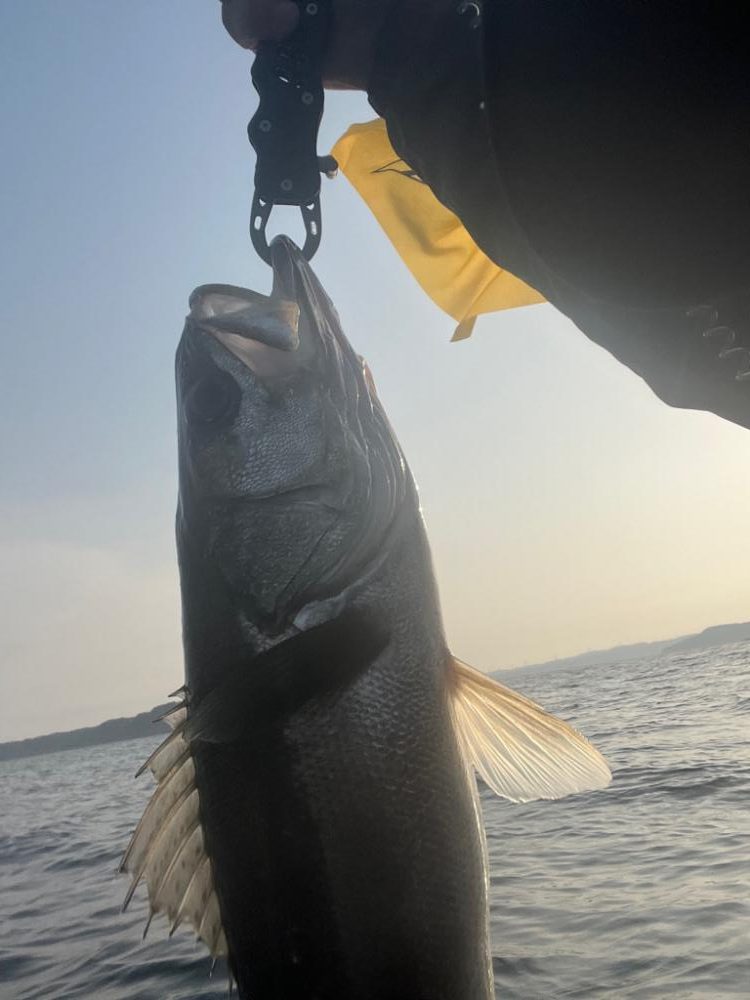 今年初カヤックフィッシング！