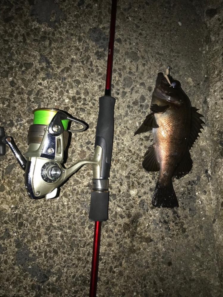 自作スーパーボールフロートリグ