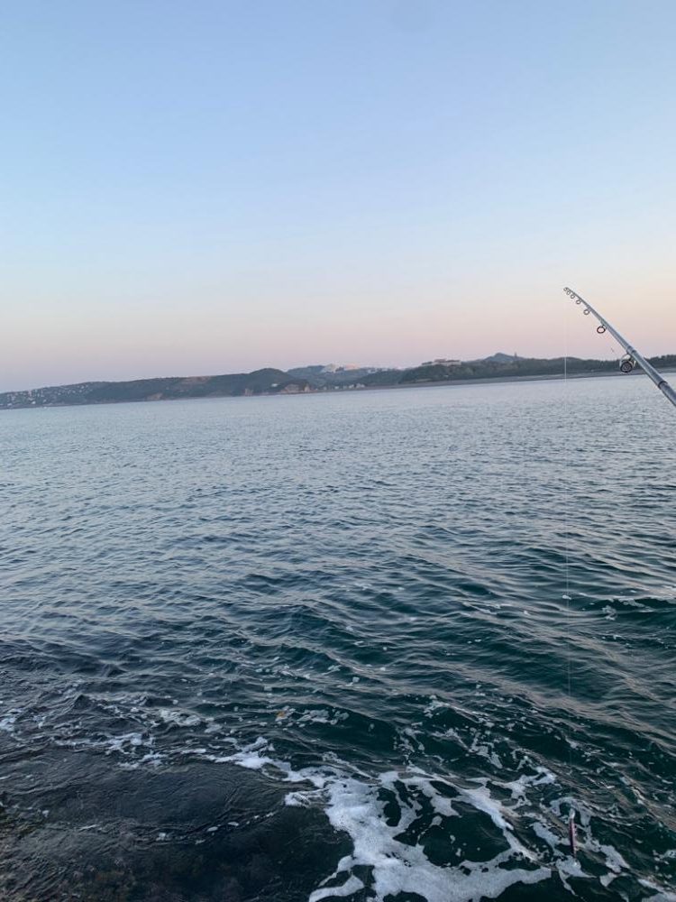 春アオリのはずが⁉️