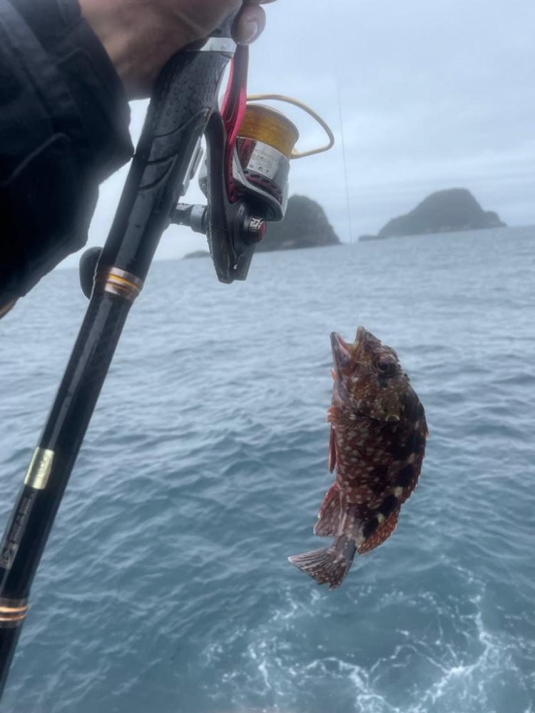 GFG 九州春季懇親（磯・投げ）釣り大会