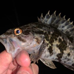 ボトム調査へ〜