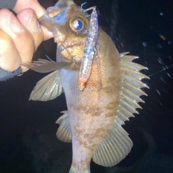 2022ライトゲーム第10戦