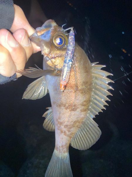 2022ライトゲーム第10戦